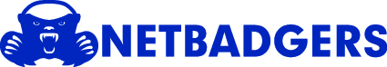 NetBadgers - Professional IT Solutions and Services